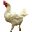 Aves de corral