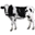 Vacas