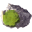 Cromo