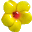 Flores, hierbas y plantas aromáticas